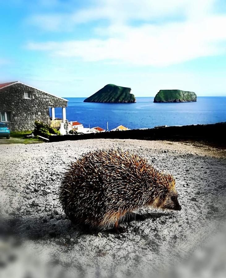 Breathe Nature - Beach House Azores Feteira  Екстериор снимка