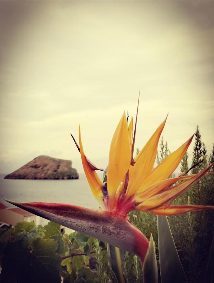 Breathe Nature - Beach House Azores Feteira  Екстериор снимка